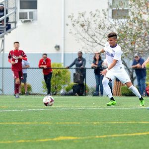 Meet your Posher, Hector